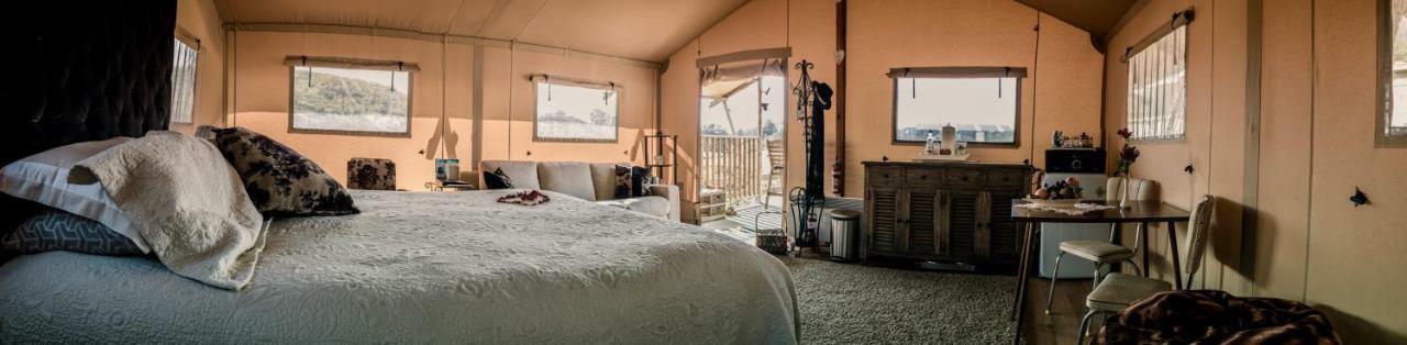 Country Retreat Glamping 호텔 뉴플리머스 외부 사진