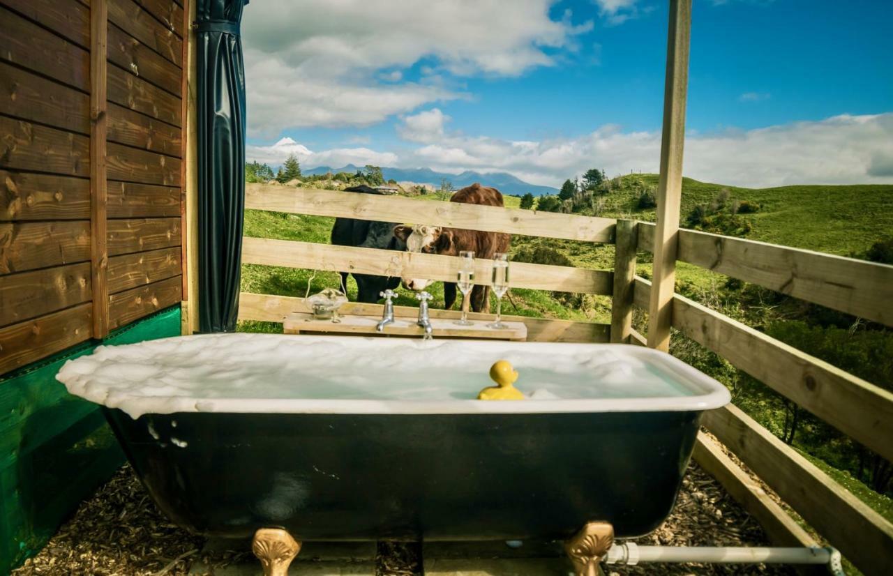 Country Retreat Glamping 호텔 뉴플리머스 외부 사진